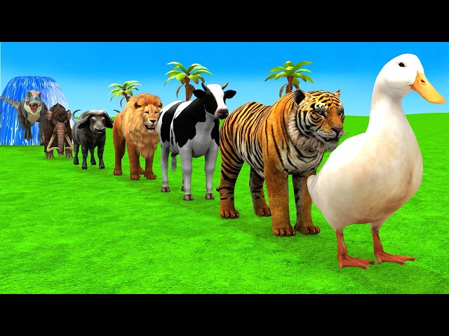 Long Slide Game with Dinosaur Lion Cow Hippopotamus Gorilla 3d Animal Game Funny 3d Animals