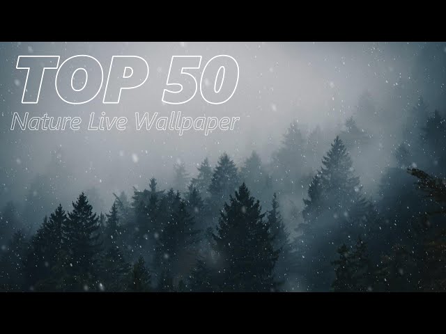 Wallpaper Engine Nature Top 50 | Relaxing 4K Live Wallpapers