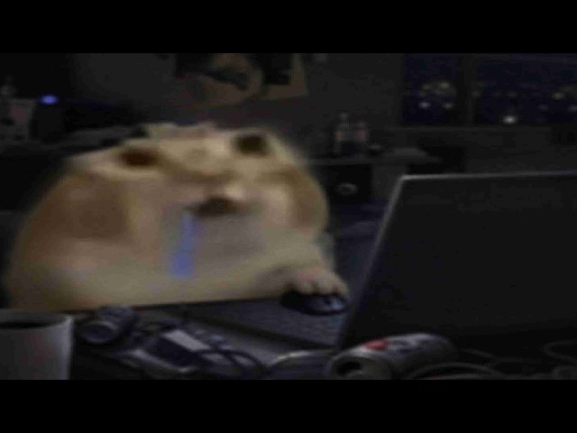 i want noodlez...