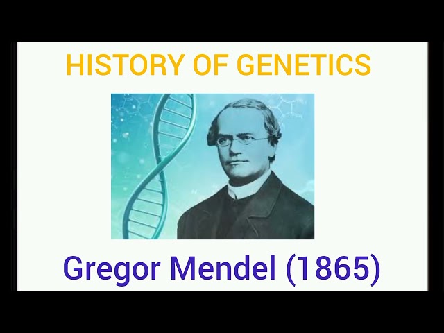 History of genetics