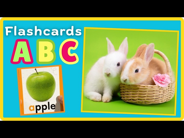 ABC Flashcard: Learning the Alphabet with Flashcards and Videos
