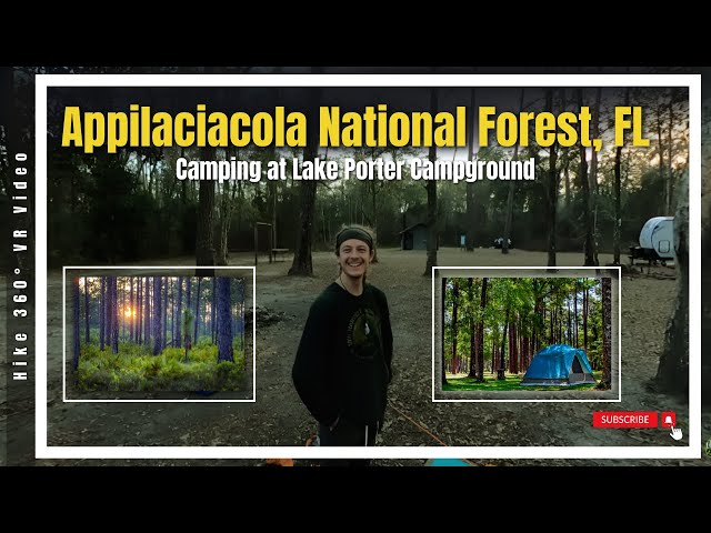 Camping at Lake Porter Campground - Appilaciacola National Forest, FL (Hike 360° VR Video)