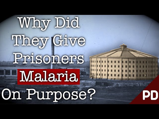 The Dark Side of Science:The Horrific Stateville Prison Malaria Experiment 1944 | short Documentary