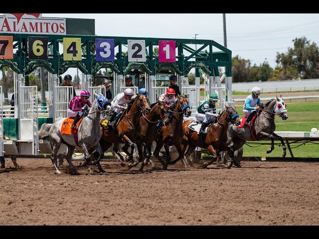 Los Alamitos Daytime Full Card Action - Friday, September 18