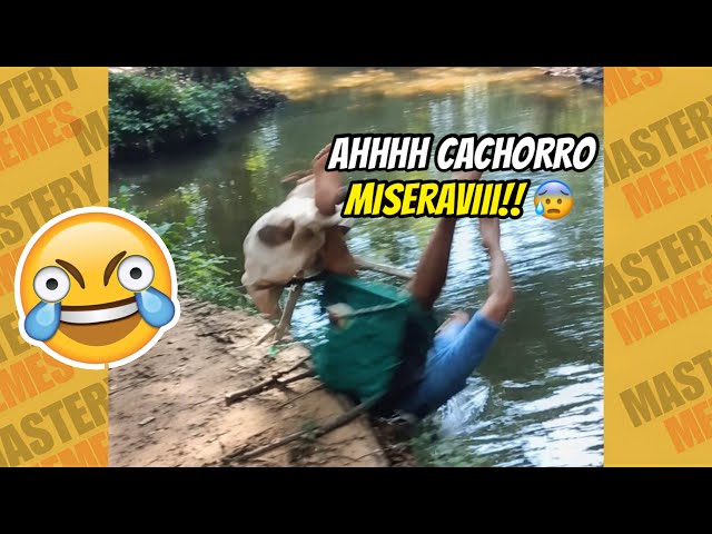 OS MEMES MAIS ENGRAÇADOS DA INTERNET | TENTE NÃO RIR #291