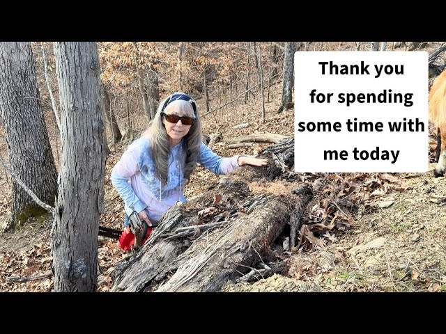 Cutting into a mystery tree