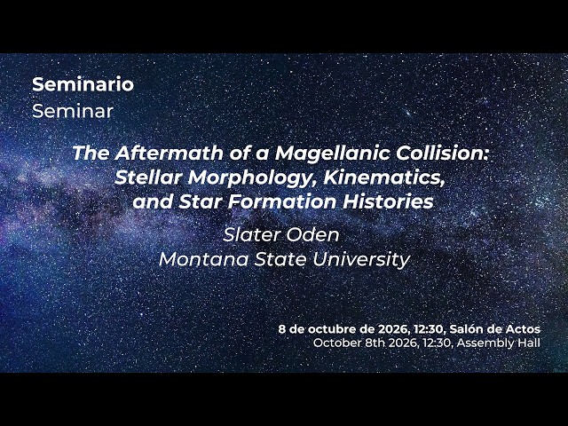 The Aftermath of a Magellanic Collision: Stellar Morphology, Kinematics and Star Formation Histories