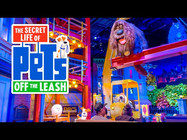 Secret Life of Pets Ride Universal Studios Hollywood FULL POV [4K]