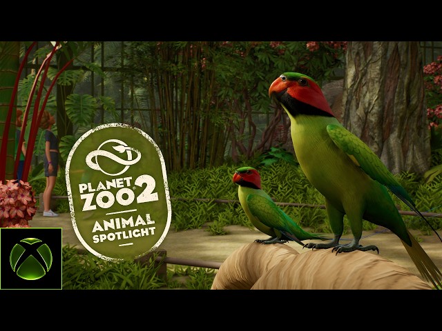 Planet Zoo 2 | Animal Spotlight - Long-Tailed Parakeet