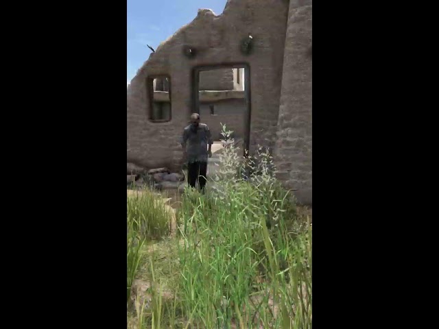 Stealth Sniping On Badlands Nasdara - Playing w/ Viewers - DayZ 1440p (Portrait)