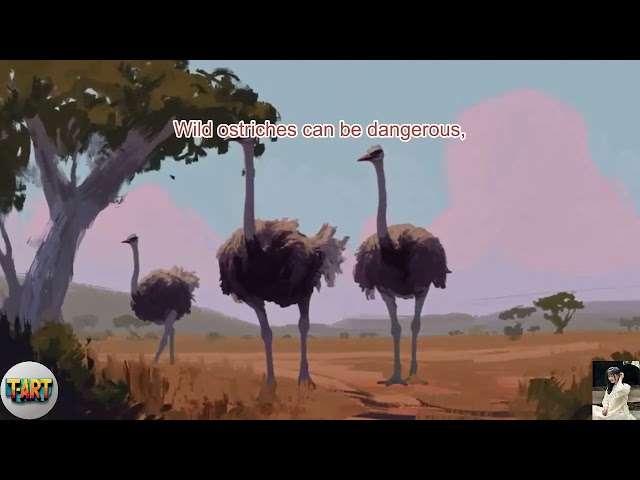Common Misconceptions About Ostriches That Many People Still Believe