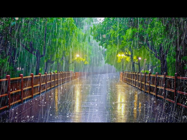 Goodbye Insomnia with Rain Sounds and Echoing Thunder in a Beautiful Park at Night