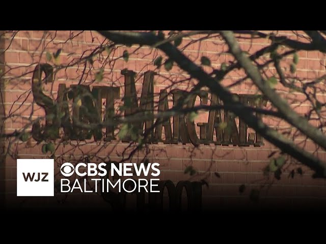 Bat found in Bel Air, Maryland school tests positive for rabies