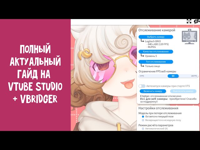 Полный актуальный гайд на VTube Studio на 2025 год + VBriger и сравнение видов отслеживания