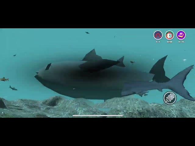 Real Fish Simulator - Deep Ocean Fast Gameplay