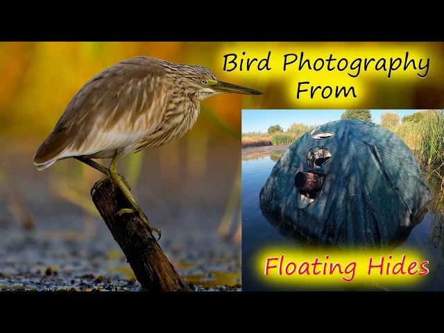 Floating Hide Bird Photography in Bulgaria with the OM-1 Mk2 and the 150-400mm Lens. Part 1.