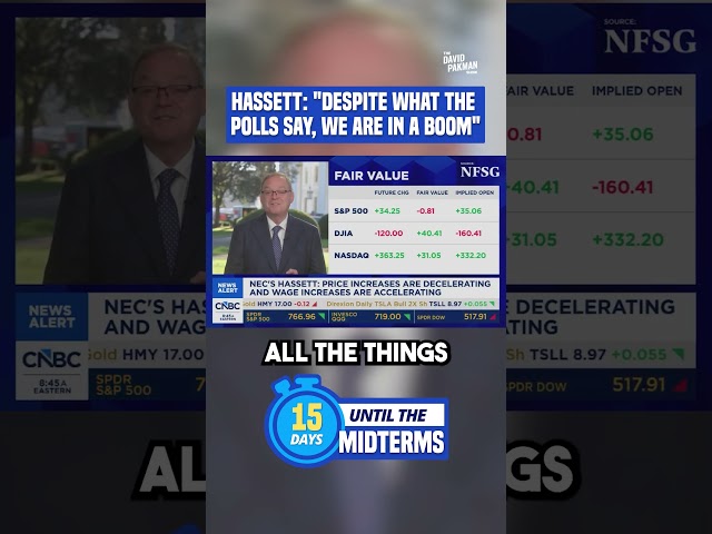 The director of the National Economic Council is measuring the economy based on vibes #shorts