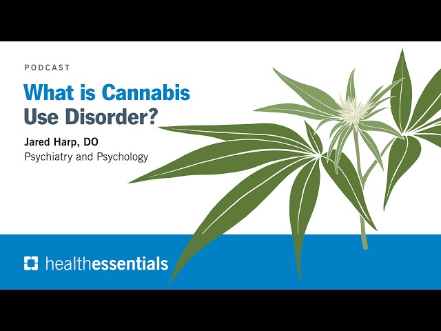 What Is Cannabis Use Disorder? | Jared Harp, DO