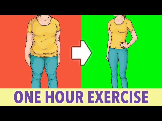 Full Body Fat Burn: One Hour Exercise At Home