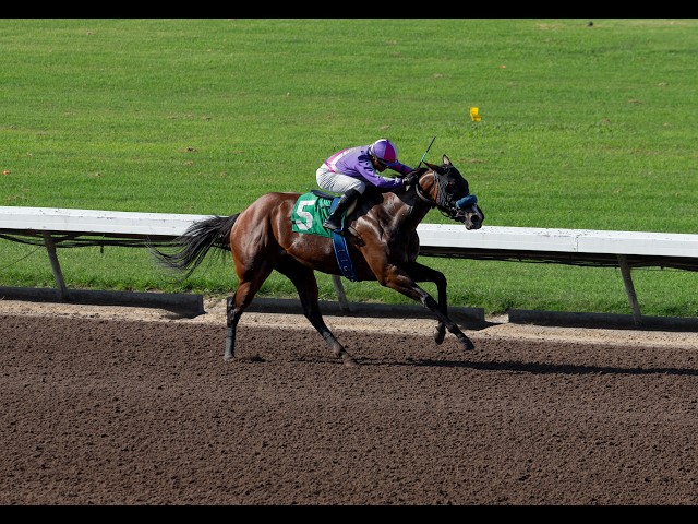 Los Alamitos Daytime Full Card & Replays Action - Saturday, September 19