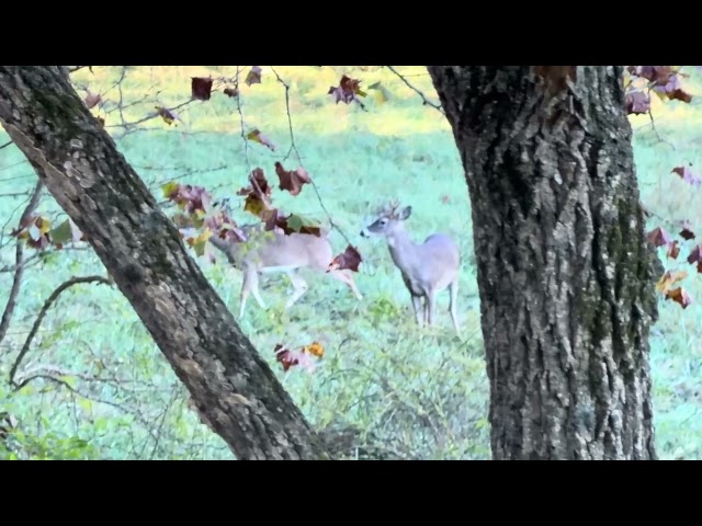 First Good Cold Front of the 2026 Missouri Bow Season