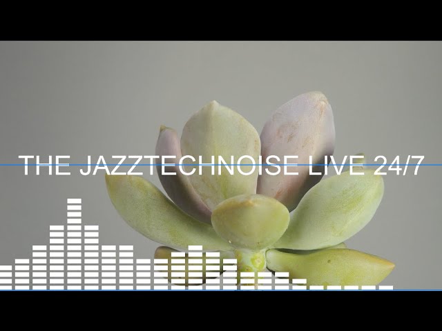 The jazztechnoise live 24/7