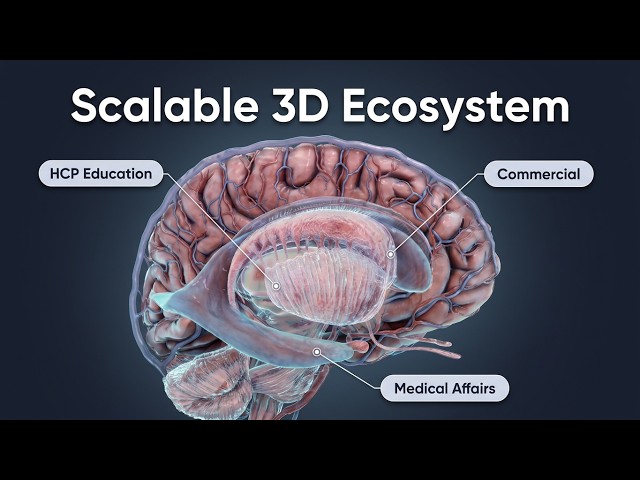 Interactive 3D for Scalable Scientific Communication in Life Sciences | Intervoke