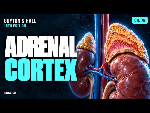 Chapter 78: Adrenocortical Hormones | Guyton & Hall 15th Ed.