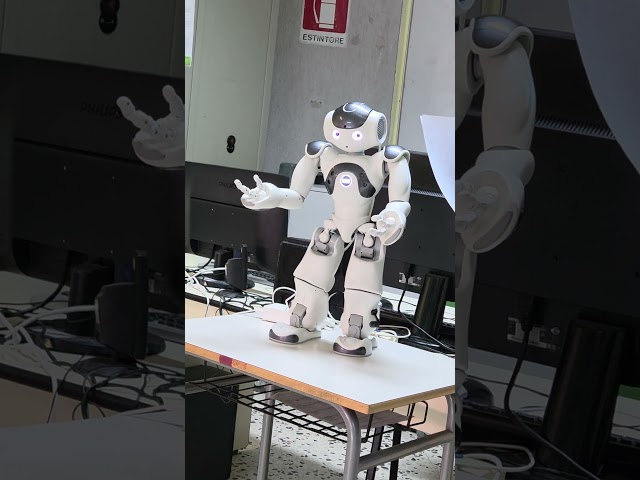 NAO the Robot sorts litter