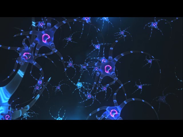 Dr. Paul Nunez on "Complex Systems and the Brain"