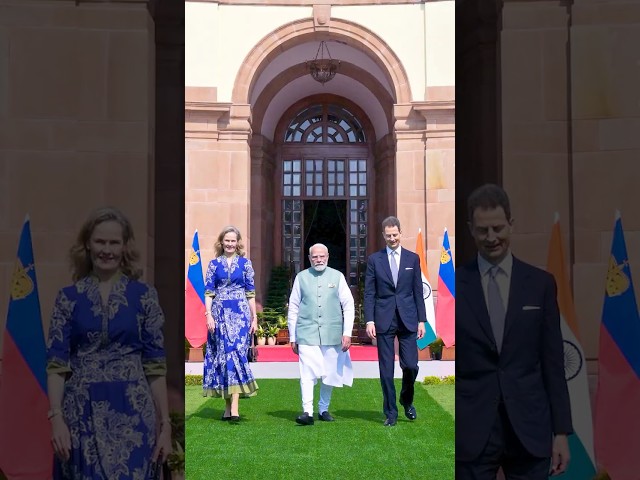 PM Modi's meet & greet with H.S.H. Hereditary Prince Alois of Liechtenstein | #shorts