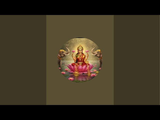 🌸TAROT LIVE #tarotreading#tarotreader#live#ytshorts#youtubelive#shorts#viral#trending#fyp#explore#YT