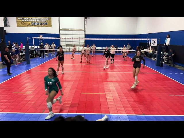 MOD Elite G16 Black vs GRV 16 White