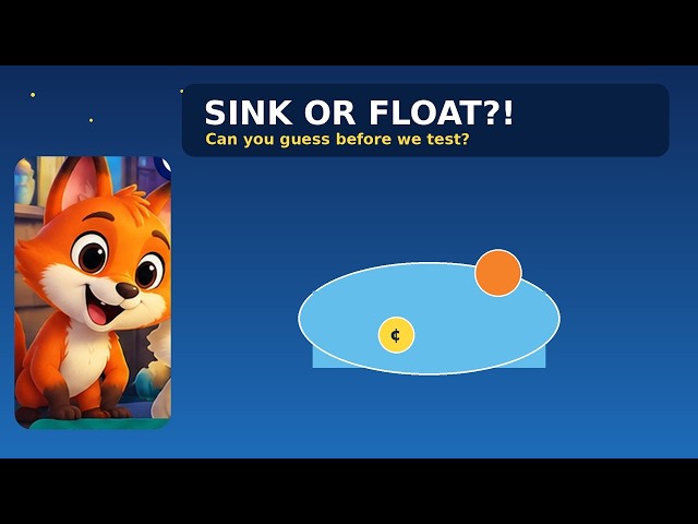 Which Things Sink and Which Things Float? 💧 | Easy Science Experiment for Kids
