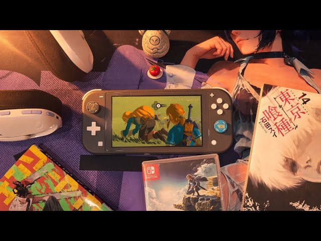 YOU DON'T NEED A SWITCH LITE IN 2026