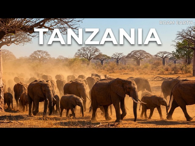 Tanzania Travel Documentary 🇹🇿 | Serengeti, Kilimanjaro, Zanzibar & the Cradle of Mankind