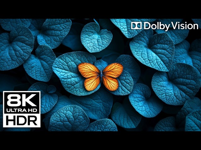 BREATHTAKING VIEW 8K Video - Dolby Vision HDR 8K 120FPS (8K / 4K Video TV Test)