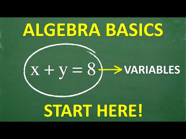The BASICS of Algebra – Everyone Can Understand Algebra!