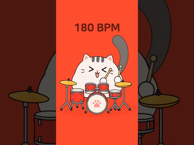 Can This Cat Keep Up? 🥁🐱 | 60–180 BPM Drum Beat Comparison
