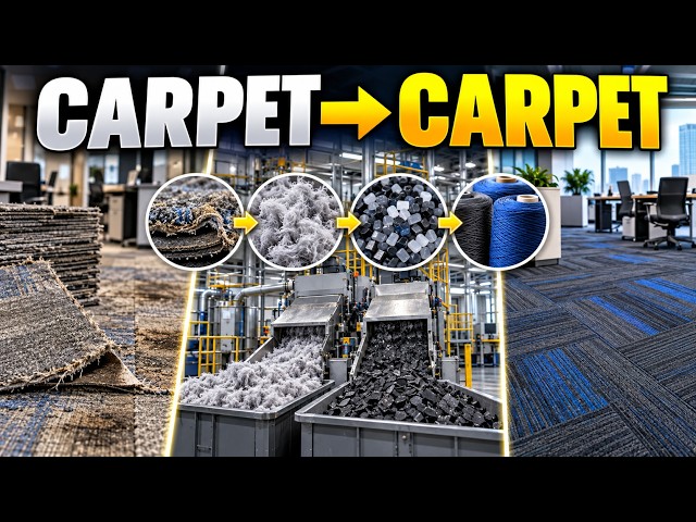 Inside a Factory Turning Old Carpets Into New Carpet Tiles | Carpet Recycling Process