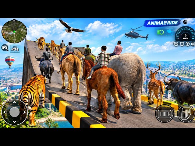 🐎🦁 Horse vs Lion, Elephant aur Tiger | Crazy Animal Adventure 🐘🐯 