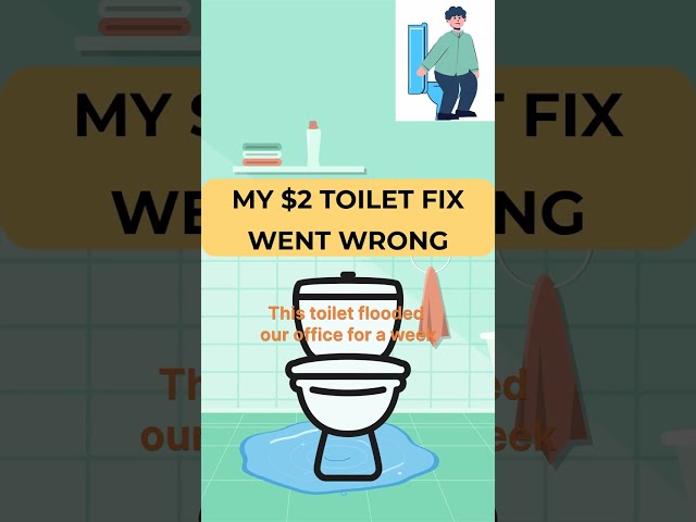 Why This $2 Toilet Fix Ended in Chaos 😂