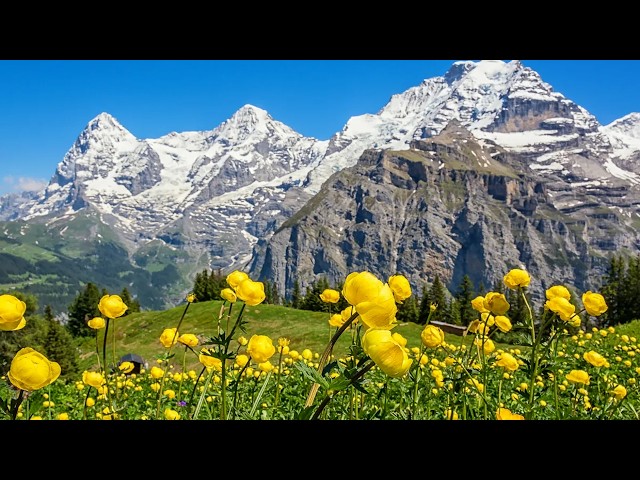 Summer in the Dolomites, Beautiful Relaxing Music, Peaceful Soothing Instrumental Music by Tim Janis