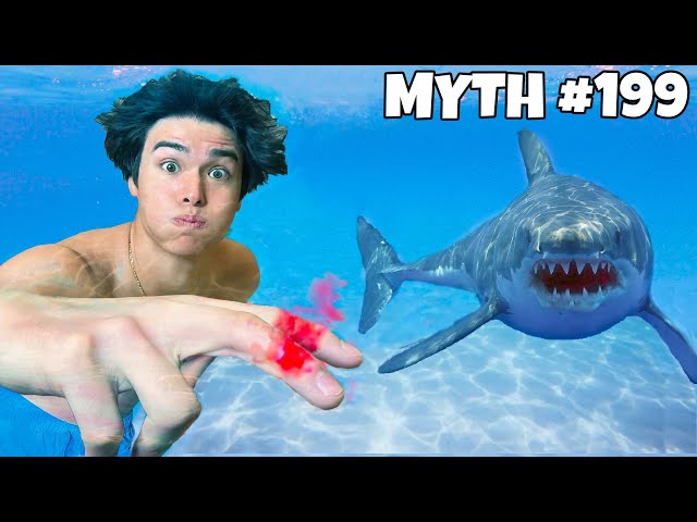 I Busted 200 Myths In 50 Hours!