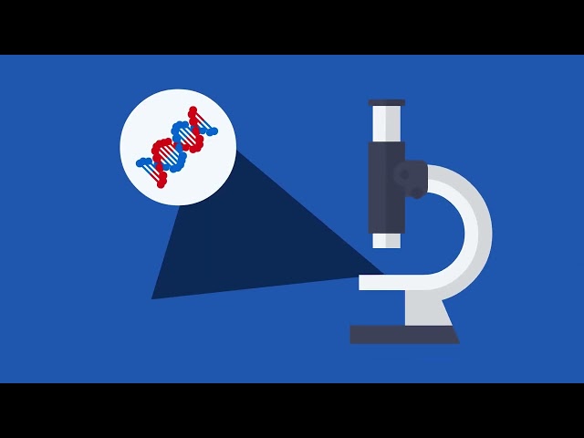 OAAK Biosolutions: Advancing Healthcare & Biopharma Excellence