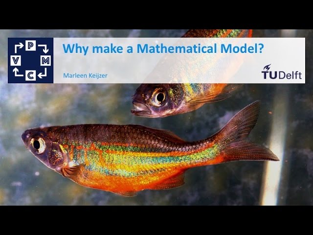 Why make a mathematical model? -  Mathematical Modelling - Mathematics - TU Delft