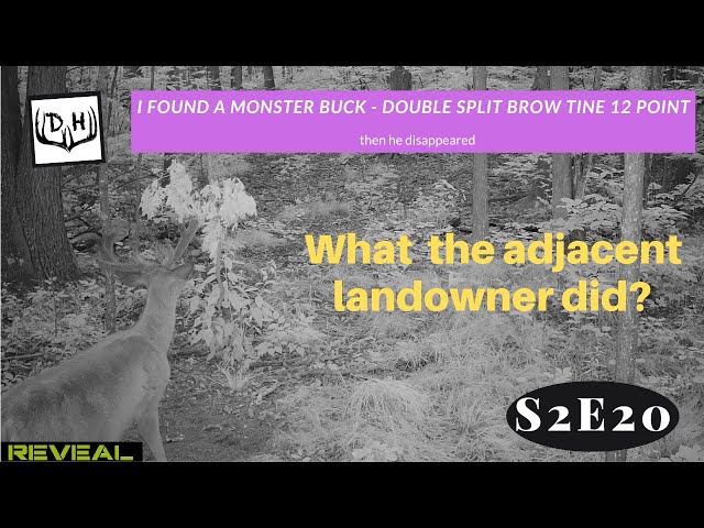 I Found a Monster Buck - Double split brow tine 12 point ... then he disappeared