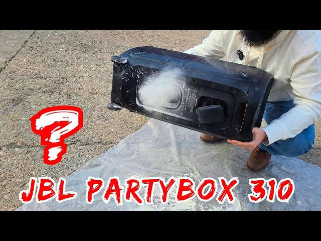 JBL Partybox 310 VS ?????