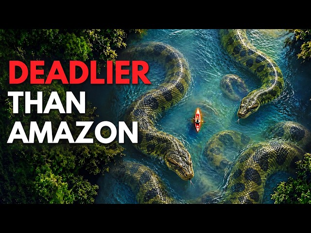 Why The Congo Basin is More Dangerous Than The Amazon.