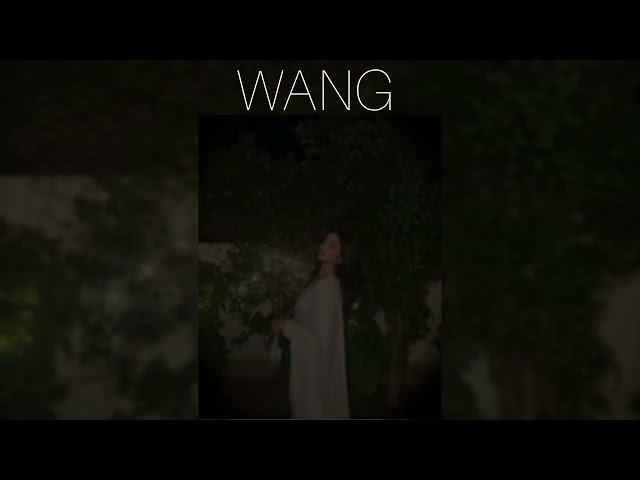 WANG - ( SPED UP ) •